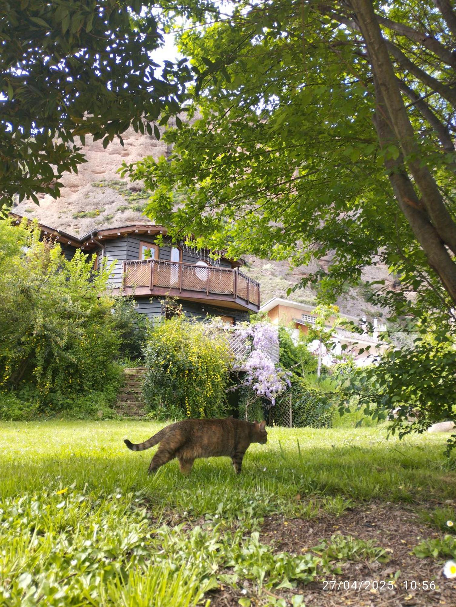 La Casa Verde Islallana エクステリア 写真